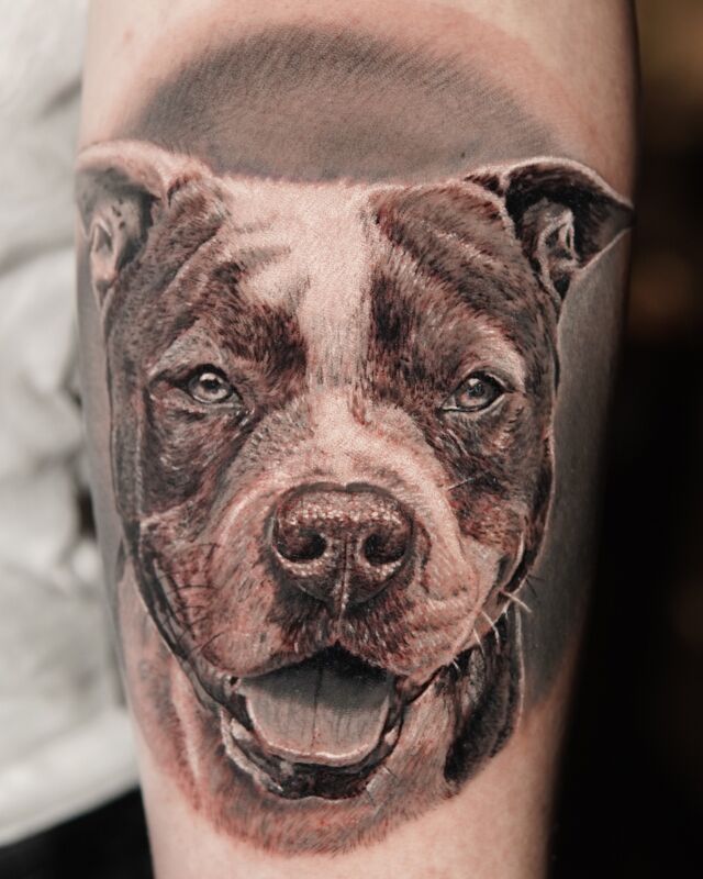 🐶
.
Bookings⬇️
www.remcodevogel.com
@pepax.official @pepax.machine 
#pepax #pepaxmachines #pepaxleve #levemachines #tattoo #tattoos #colorportrait #remcodevogel #tattoobirdy #dogportraits 
@tattoo_birdy_ijmuiden